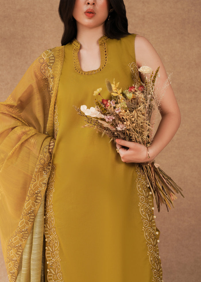 Laj | Festive Eid 25 | LE02-09-25 - by - Libasekhas UK - Registered Vendor of : Laj - 100% Original Designer Dresss