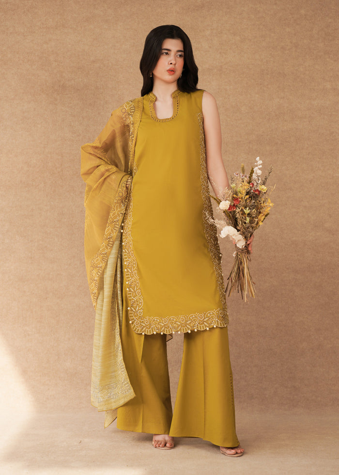 Laj | Festive Eid 25 | LE02-09-25 - by - Libasekhas UK - Registered Vendor of : Laj - 100% Original Designer Dresss