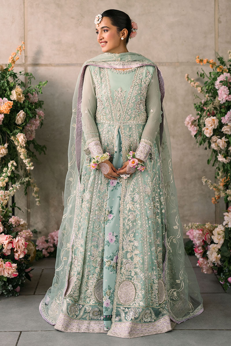 Mushq | Mastani Evening Luxury Chiffon | Faiza - by - Libasekhas UK - Registered Vendor of : Mushq - 100% Original Designer Dresss