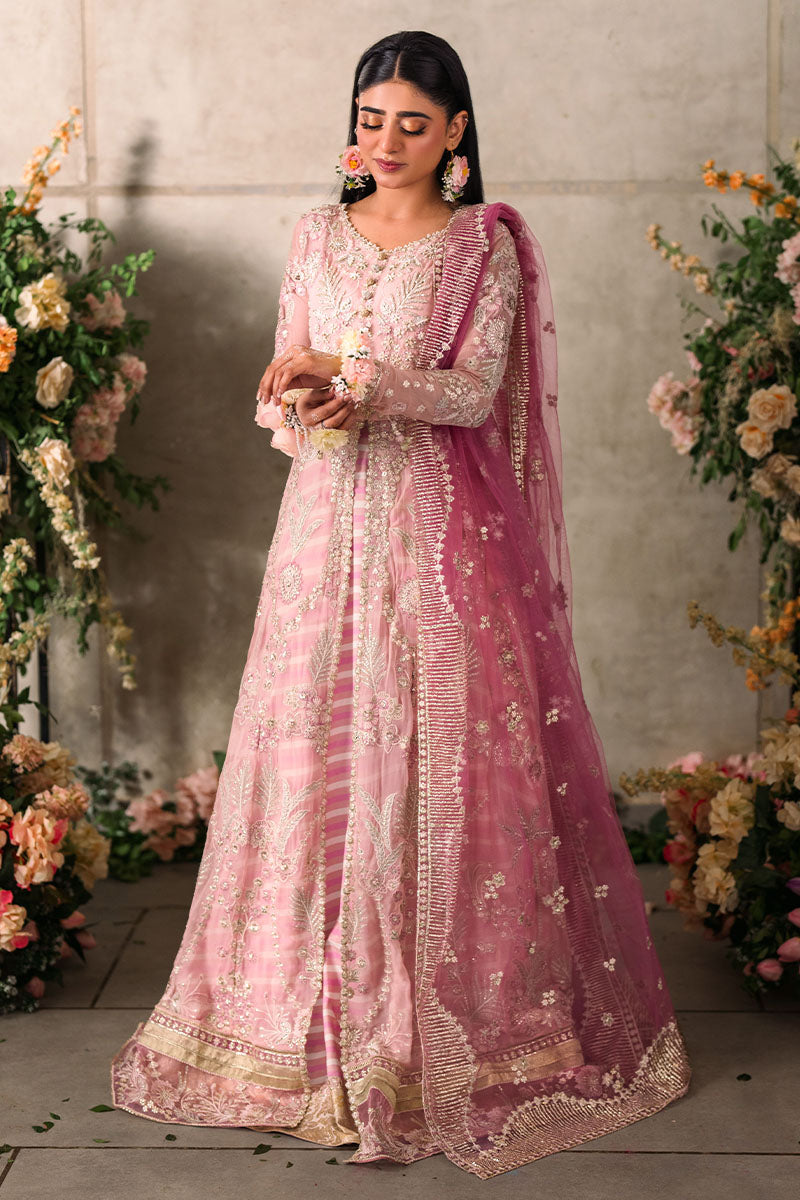 Mushq | Mastani Evening Luxury Chiffon | Maisha - by - Libasekhas UK - Registered Vendor of : Mushq - 100% Original Designer Dresss