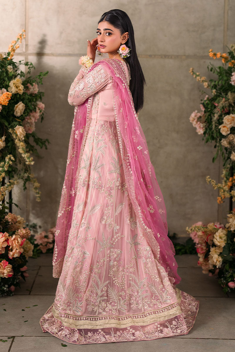 Mushq | Mastani Evening Luxury Chiffon | Maisha - by - Libasekhas UK - Registered Vendor of : Mushq - 100% Original Designer Dresss