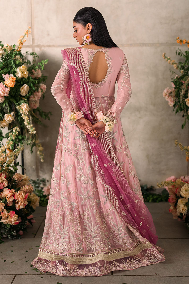 Mushq | Mastani Evening Luxury Chiffon | Maisha - by - Libasekhas UK - Registered Vendor of : Mushq - 100% Original Designer Dresss