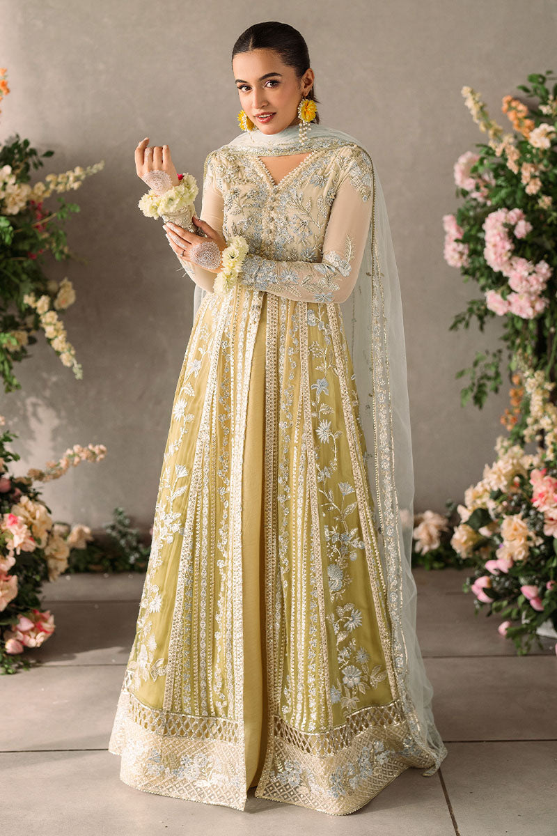 Mushq | Mastani Evening Luxury Chiffon | Hira - by - Libasekhas UK - Registered Vendor of : Mushq - 100% Original Designer Dresss
