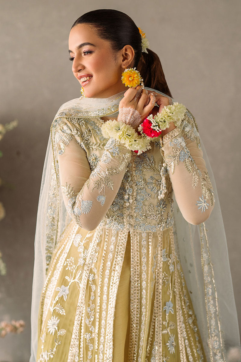Mushq | Mastani Evening Luxury Chiffon | Hira - by - Libasekhas UK - Registered Vendor of : Mushq - 100% Original Designer Dresss