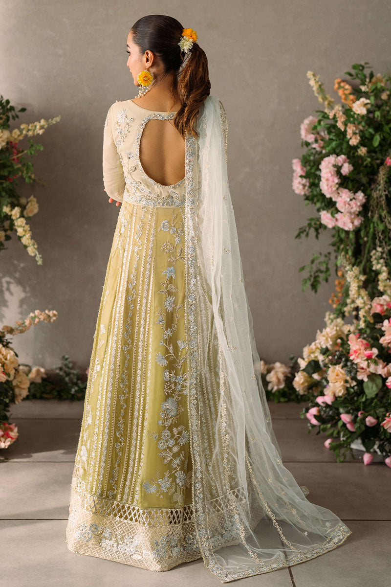 Mushq | Mastani Evening Luxury Chiffon | Hira - by - Libasekhas UK - Registered Vendor of : Mushq - 100% Original Designer Dresss