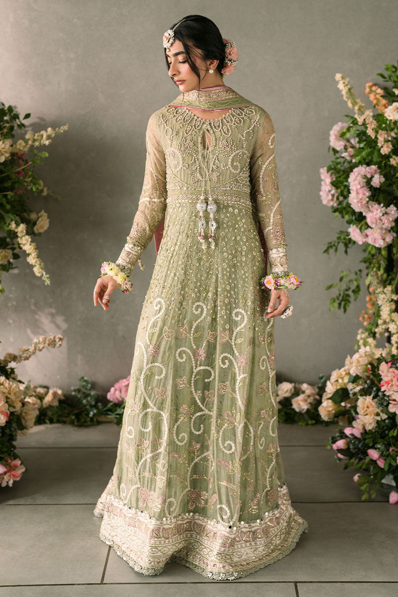 Mushq | Mastani Evening Luxury Chiffon | Namar - by - Libasekhas UK - Registered Vendor of : Mushq - 100% Original Designer Dresss
