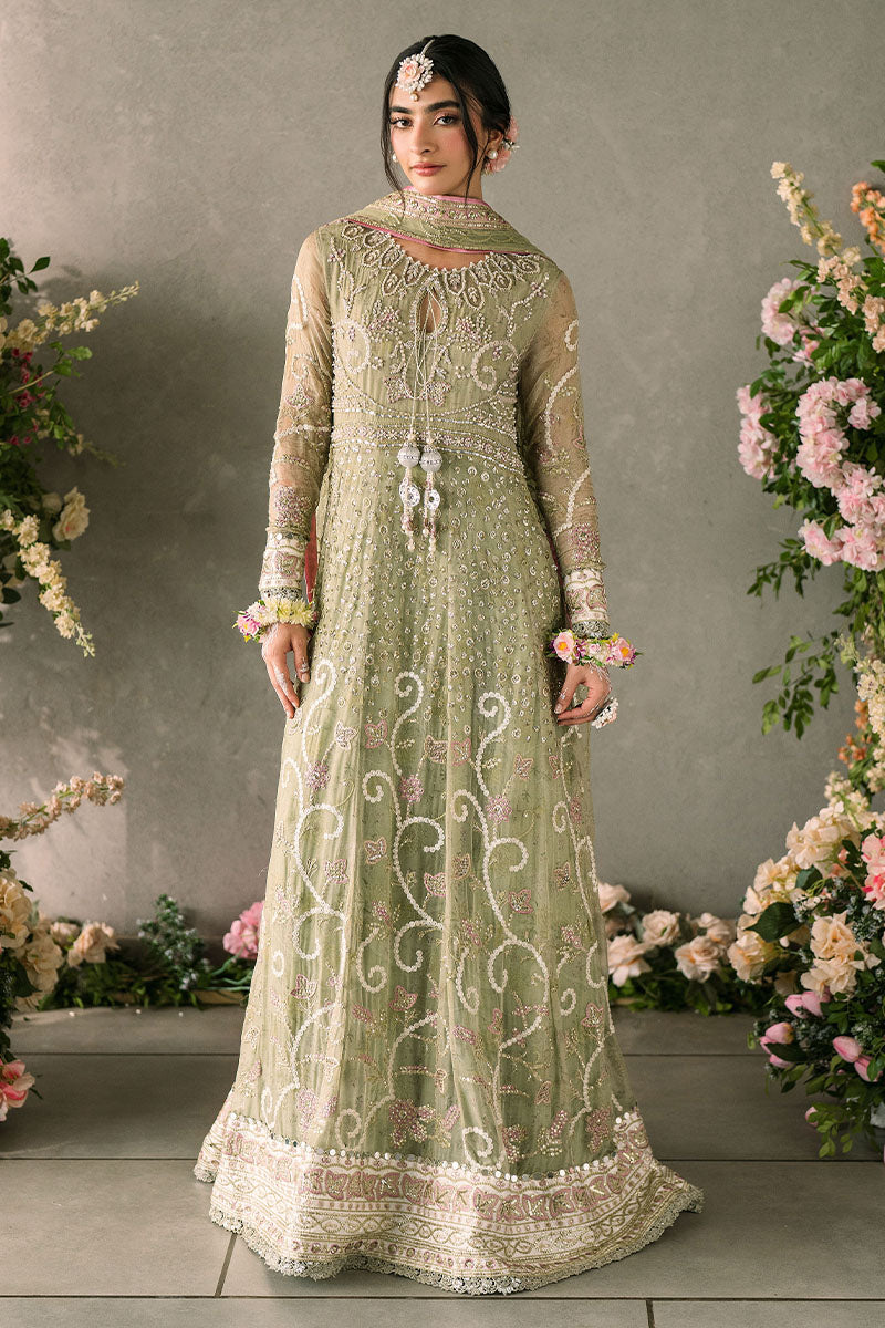 Mushq | Mastani Evening Luxury Chiffon | Namar - by - Libasekhas UK - Registered Vendor of : Mushq - 100% Original Designer Dresss