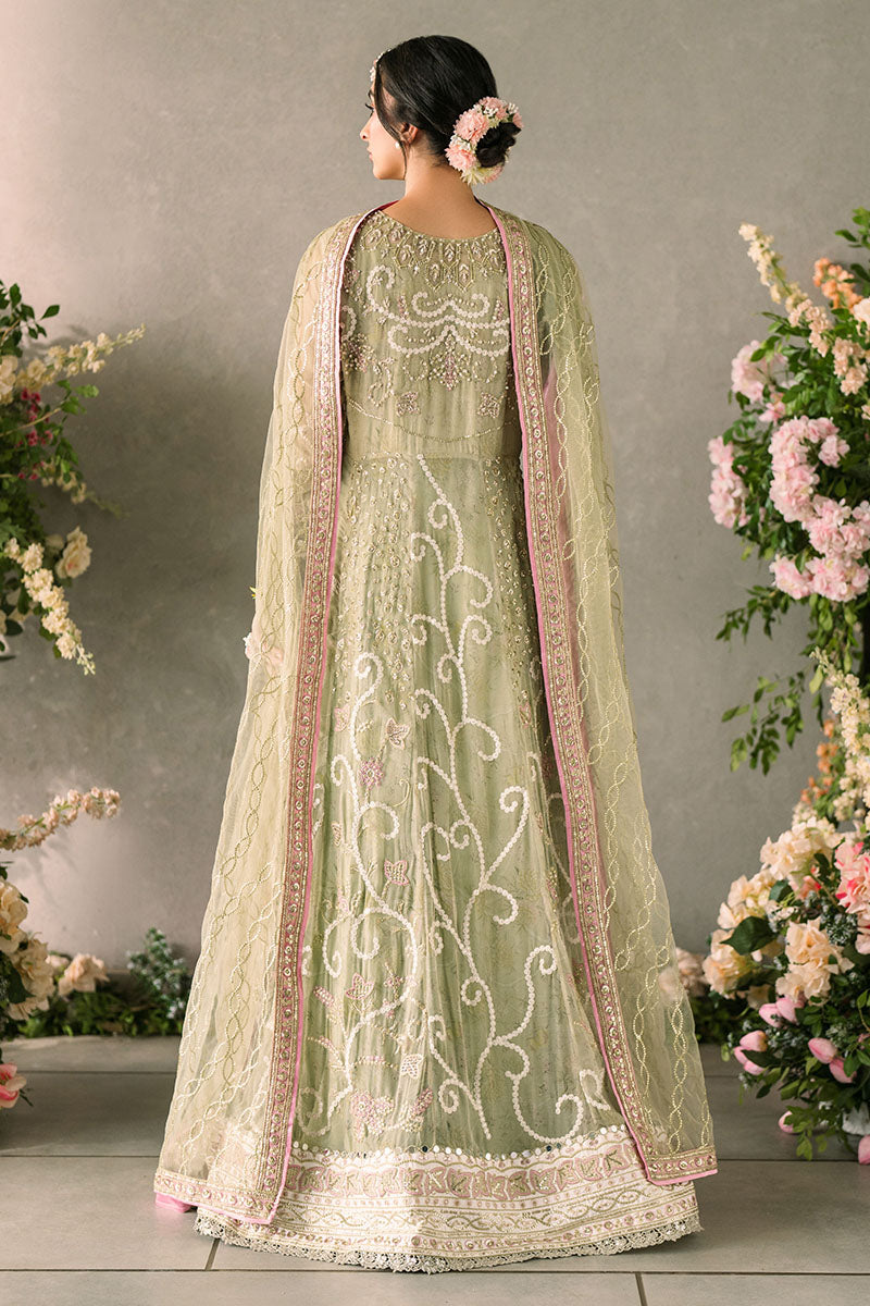 Mushq | Mastani Evening Luxury Chiffon | Namar - by - Libasekhas UK - Registered Vendor of : Mushq - 100% Original Designer Dresss