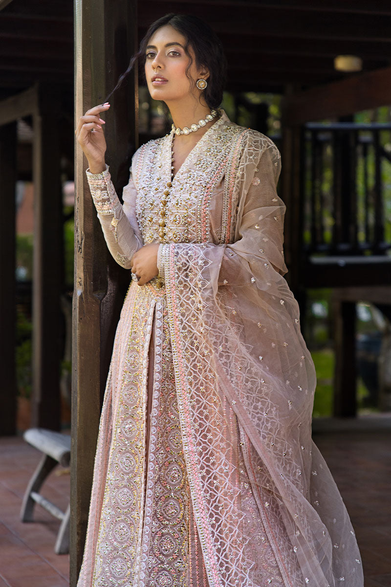Mushq | Roohi Luxury Collection |Anika - by - Libasekhas UK - Registered Vendor of : Mushq - 100% Original Designer Dresss
