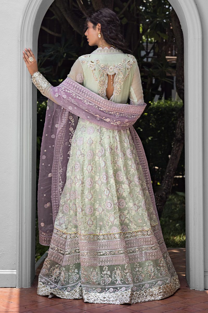 Mushq | Roohi Luxury Collection | Aara - by - Libasekhas UK - Registered Vendor of : Mushq - 100% Original Designer Dresss