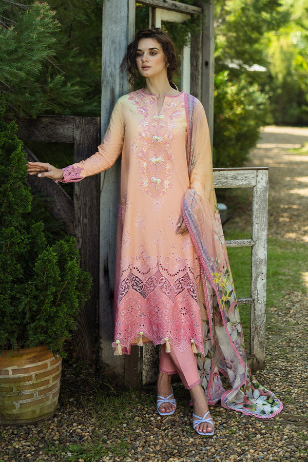 Mushq | Solace Ombre Chikankari | Risate - by - Libasekhas UK - Registered Vendor of : Mushq - 100% Original Designer Dresss