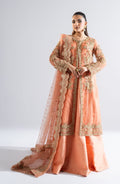 Maryum N Maria | Riwayat Wedding Formals | AMANTHI - MW24-552 - by - Libasekhas UK - Registered Vendor of : Maryum N Maria - 100% Original Designer Dresss