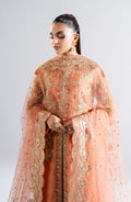 Maryum N Maria | Riwayat Wedding Formals | AMANTHI - MW24-552 - by - Libasekhas UK - Registered Vendor of : Maryum N Maria - 100% Original Designer Dresss