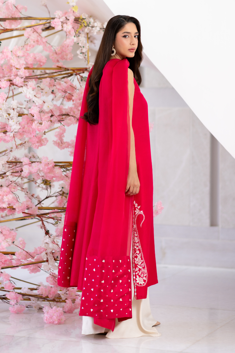 Mina Hasan | Signature Pret | Ayra - by Libasekhas - Registered Vendor of : Mina Hasan - 100% Original Designer Dress