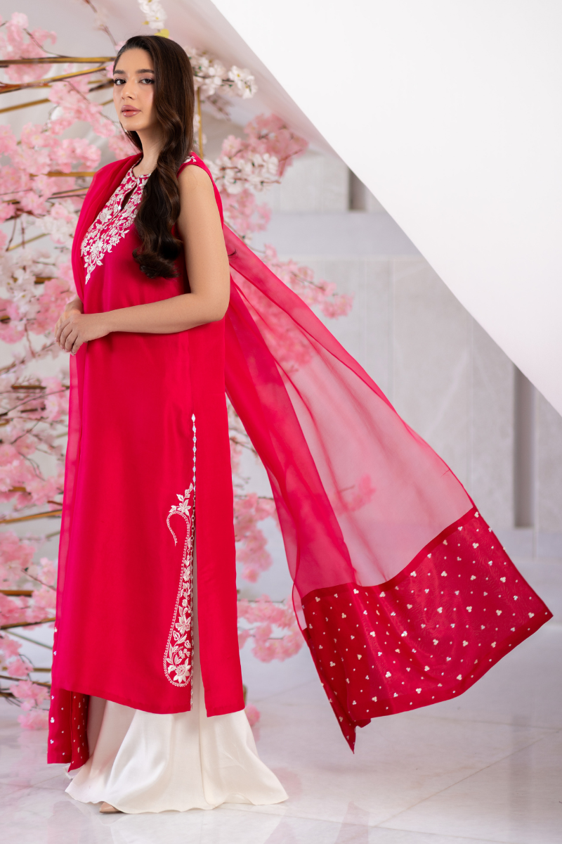 Mina Hasan | Signature Pret | Ayra - by Libasekhas - Registered Vendor of : Mina Hasan - 100% Original Designer Dress
