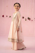 Maria B | 3 Piece Embroidered Organza Suit | MKS-EF24-19 - by - Libasekhas UK - Registered Vendor of : Maria B - 100% Original Designer Dresss