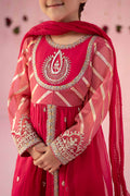 Maria B | 3 Piece Embroidered Organza Suit | MKS-EF24-27 - by - Libasekhas UK - Registered Vendor of : Maria B - 100% Original Designer Dresss