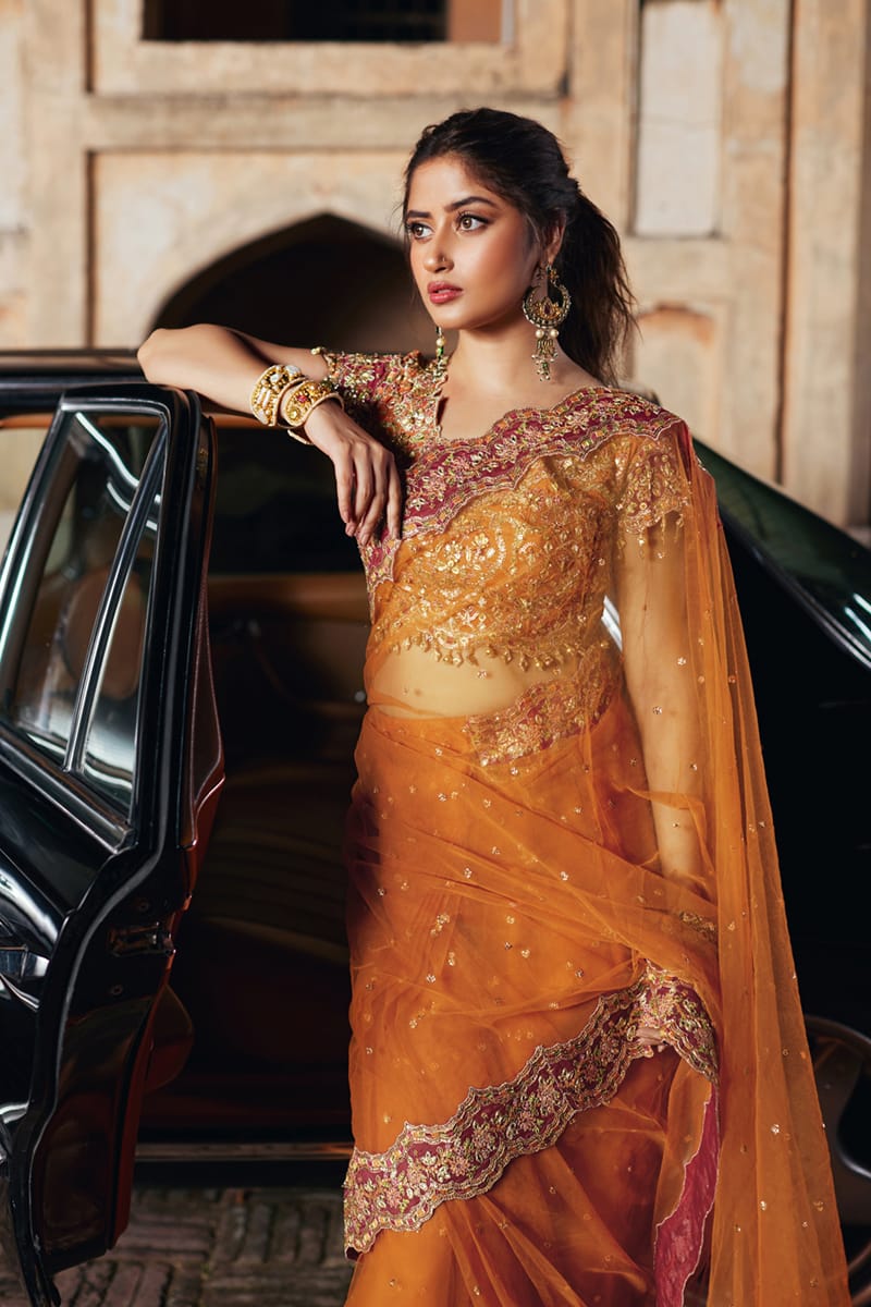 Qalamkar | Shadmani Luxury Formals |  Raniya SH-02 - by - Libasekhas UK - Registered Vendor of : Qalamkar - 100% Original Designer Dresss