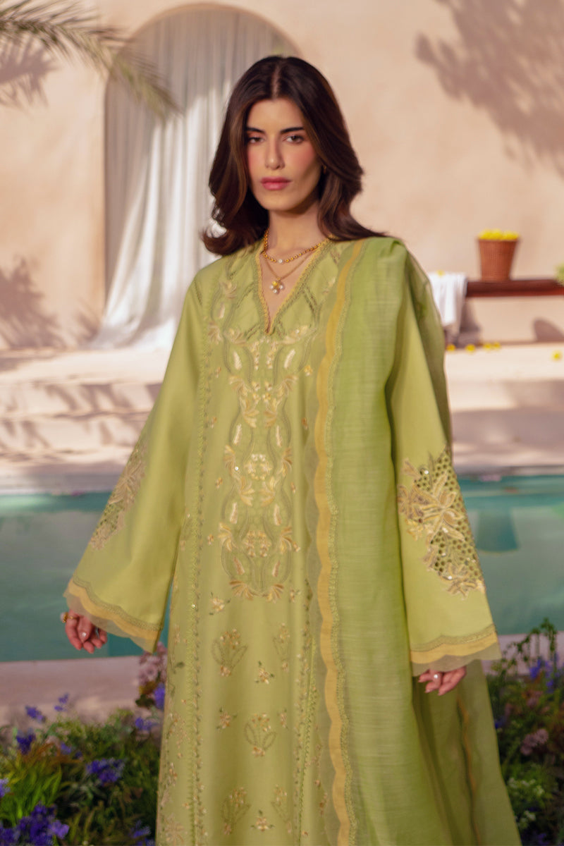 Rangrasiya | Luxury Eid Collection | Nadine - by Libasekhas - Registered Vendor of : Rangrasiya - 100% Original Designer Dress