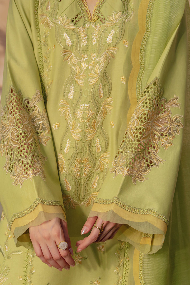 Rangrasiya | Luxury Eid Collection | Nadine - by Libasekhas - Registered Vendor of : Rangrasiya - 100% Original Designer Dress