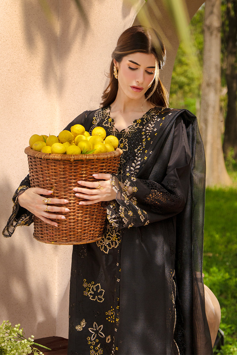 Rangrasiya | Luxury Eid Collection | Layl - by Libasekhas - Registered Vendor of : Rangrasiya - 100% Original Designer Dress