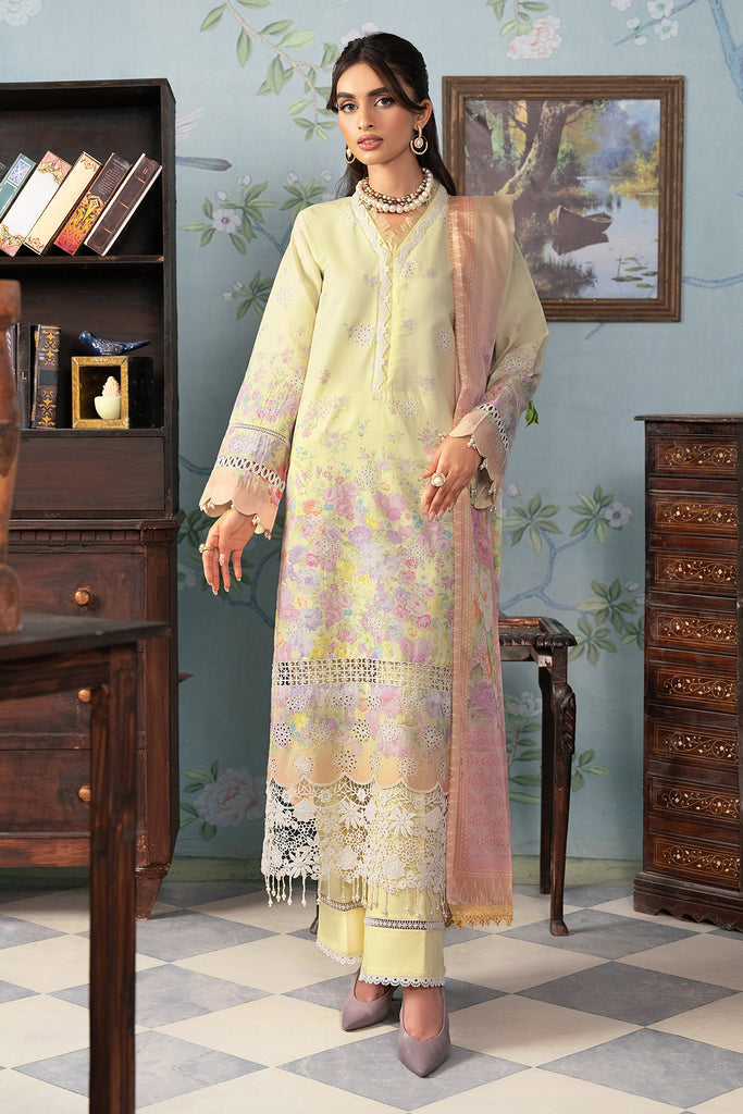 Rajbari | Chikankari Edition 24 | RJB-01 - by - Libasekhas UK - Registered Vendor of : Rajbari - 100% Original Designer Dresss