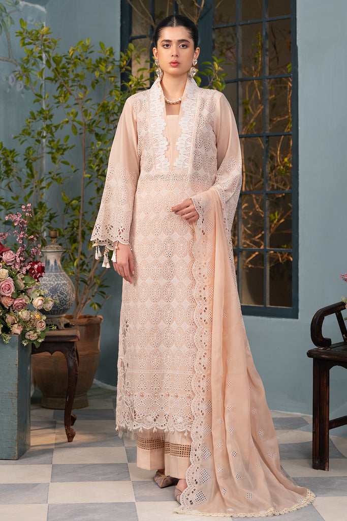 Rajbari | Chikankari Edition 24 | RJB-03 - by - Libasekhas UK - Registered Vendor of : Rajbari - 100% Original Designer Dresss