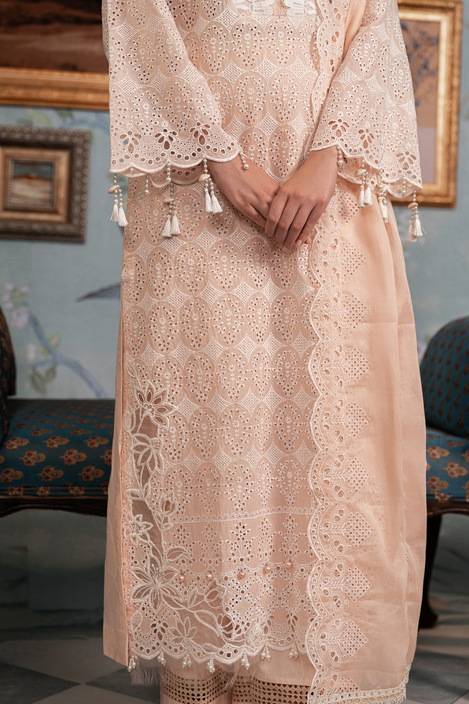 Rajbari | Chikankari Edition 24 | RJB-03 - by - Libasekhas UK - Registered Vendor of : Rajbari - 100% Original Designer Dresss