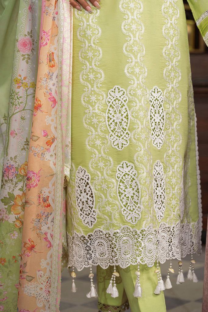 Rajbari | Chikankari Edition 24 | RJB-11 - by - Libasekhas UK - Registered Vendor of : Rajbari - 100% Original Designer Dresss