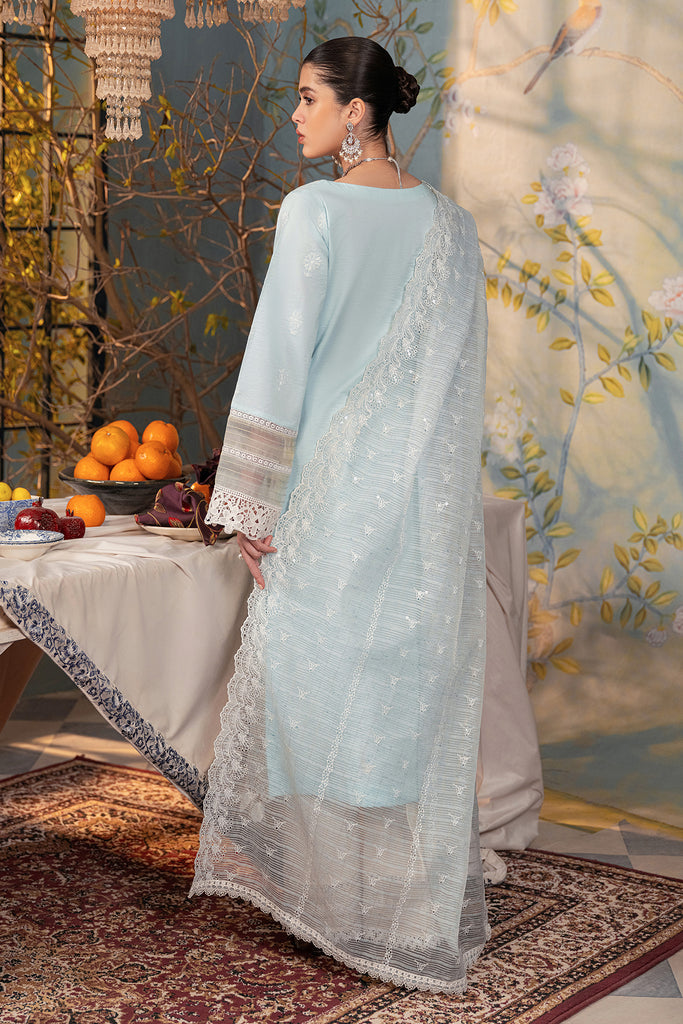 Rajbari | Chikankari Edition 24 | RJB-05 - by - Libasekhas UK - Registered Vendor of : Rajbari - 100% Original Designer Dresss
