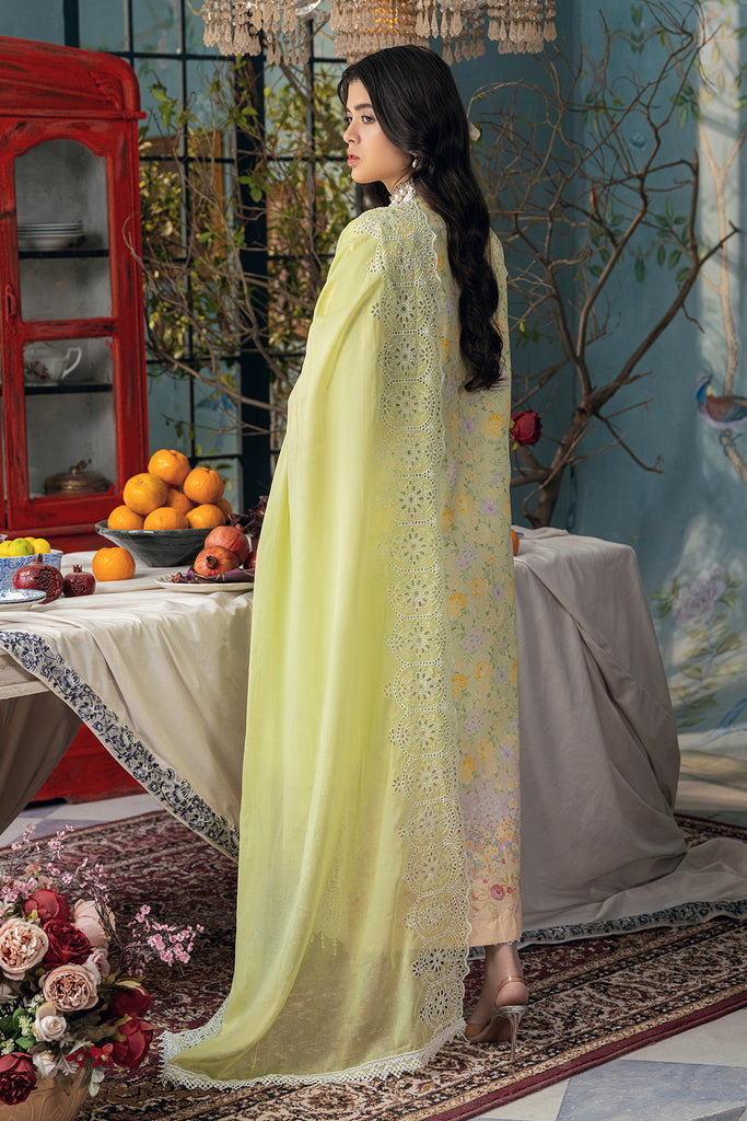 Rajbari | Chikankari Edition 24 | RJB-07 - by - Libasekhas UK - Registered Vendor of : Rajbari - 100% Original Designer Dresss