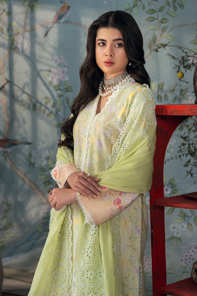 Rajbari | Chikankari Edition 24 | RJB-07 - by - Libasekhas UK - Registered Vendor of : Rajbari - 100% Original Designer Dresss
