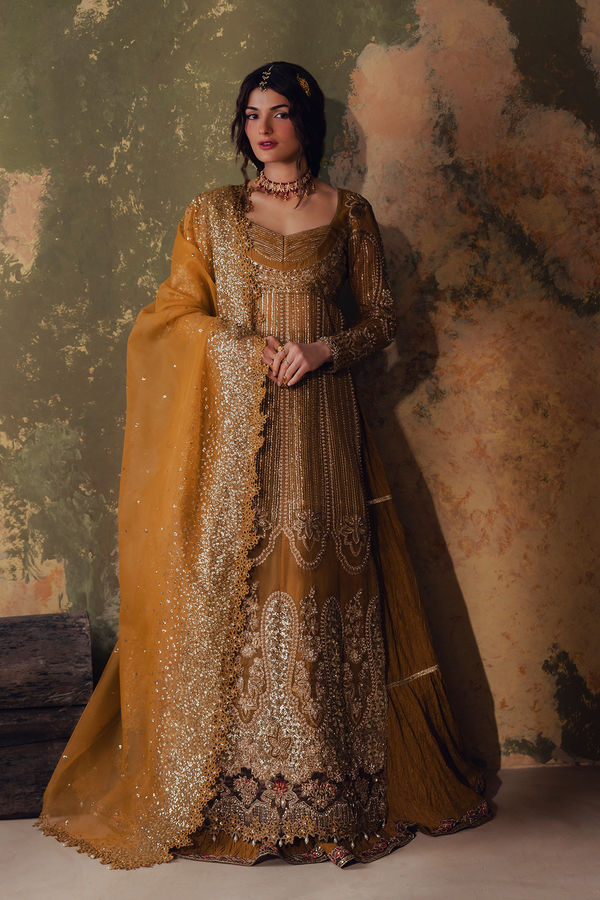 Zarposh | Jahanara '26 | Arezoo