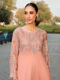 Ain | Raya Luxury Formals | AN-130 SPINAL - by Libasekhas UK - Registered Vendor of : Ain - 100% Original Designer Dress