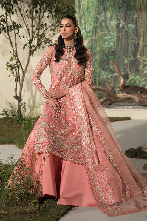 Saffron | Celeste Festive Edit 24 | Nousha - by - Libasekhas UK - Registered Vendor of : Saffron - 100% Original Designer Dresss