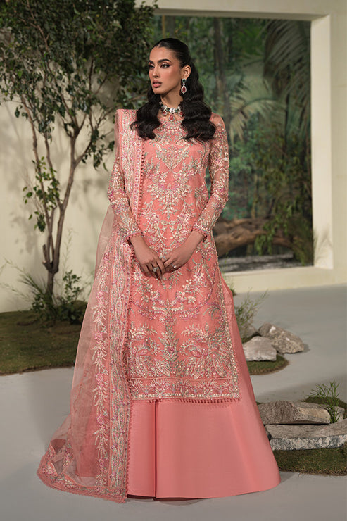 Saffron | Celeste Festive Edit 24 | Nousha - by - Libasekhas UK - Registered Vendor of : Saffron - 100% Original Designer Dresss