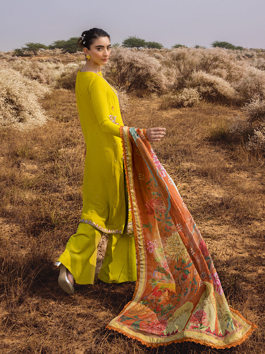 Salitex | Luxury Wear 24 | 26 - by - Libasekhas UK - Registered Vendor of : Salitex - 100% Original Designer Dresss