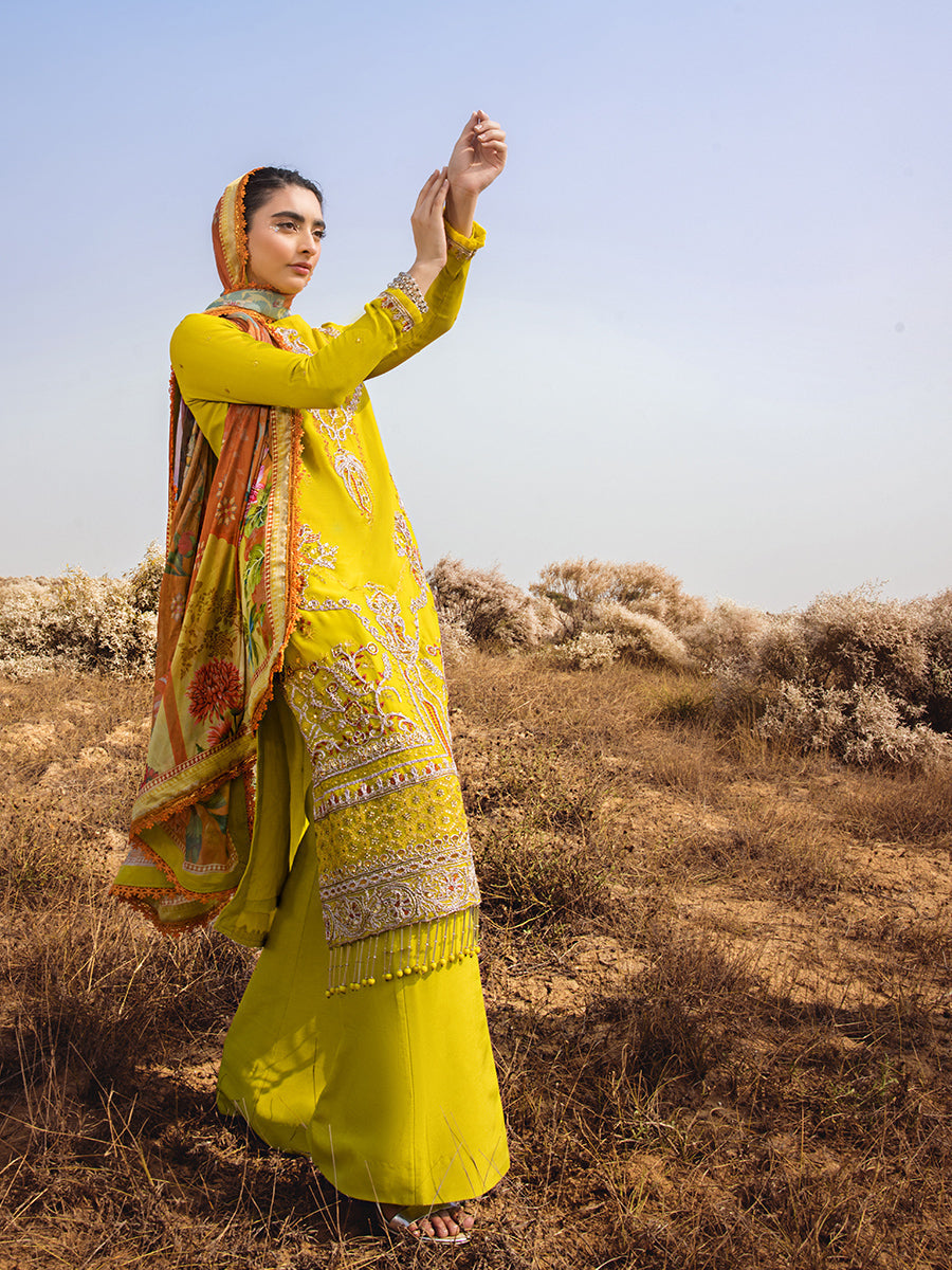 Salitex | Luxury Wear 24 | 26 - by - Libasekhas UK - Registered Vendor of : Salitex - 100% Original Designer Dresss