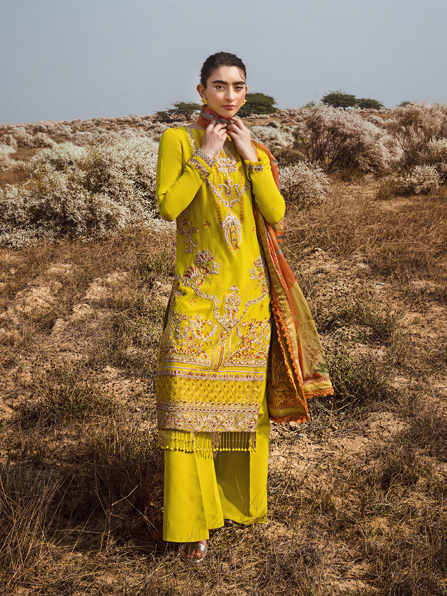 Salitex | Luxury Wear 24 | 26 - by - Libasekhas UK - Registered Vendor of : Salitex - 100% Original Designer Dresss
