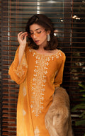 Asifa and Nabeel | Zephyr Formals | Sunset Velvet Ensemble - by Libasekhas UK - Registered Vendor of : Asifa and Nabeel - 100% Original Designer Dress