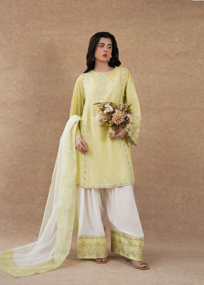 Laj | Festive Eid 25 | LE02-08-25 - by - Libasekhas UK - Registered Vendor of : Laj - 100% Original Designer Dresss