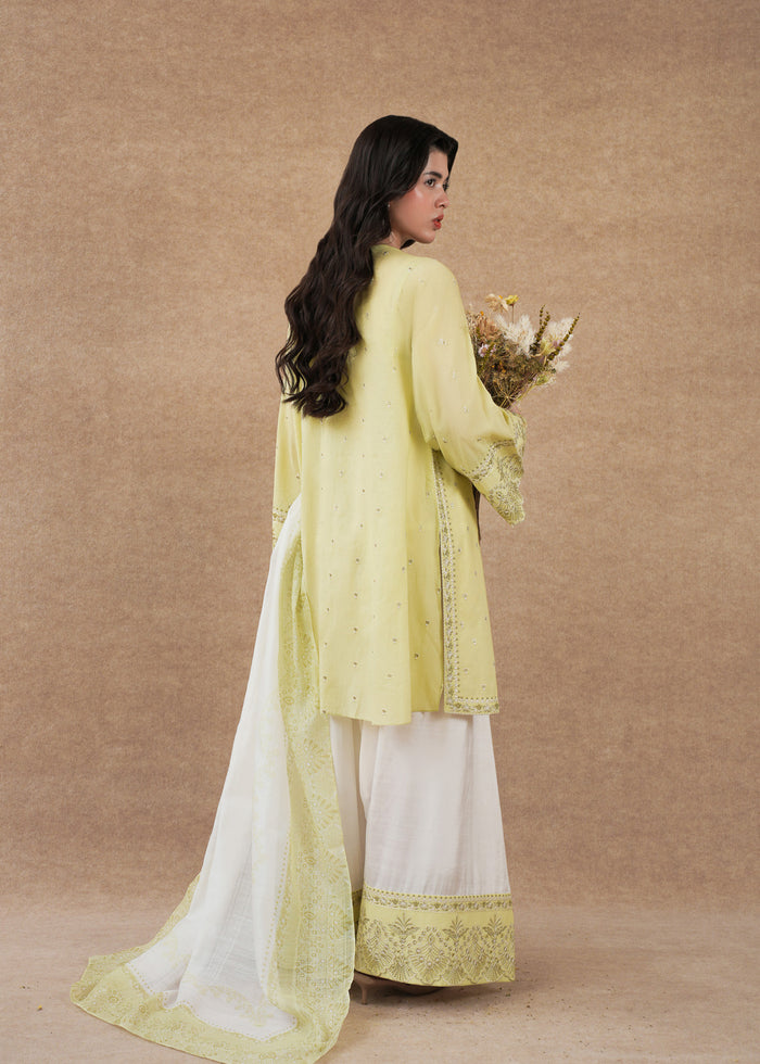 Laj | Festive Eid 25 | LE02-08-25 - by - Libasekhas UK - Registered Vendor of : Laj - 100% Original Designer Dresss