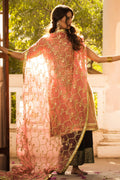 The Pink Tree Company | Wedding Wear | DAREECHA - by - Libasekhas UK - Registered Vendor of : The Pink Tree Company - 100% Original Designer Dresss