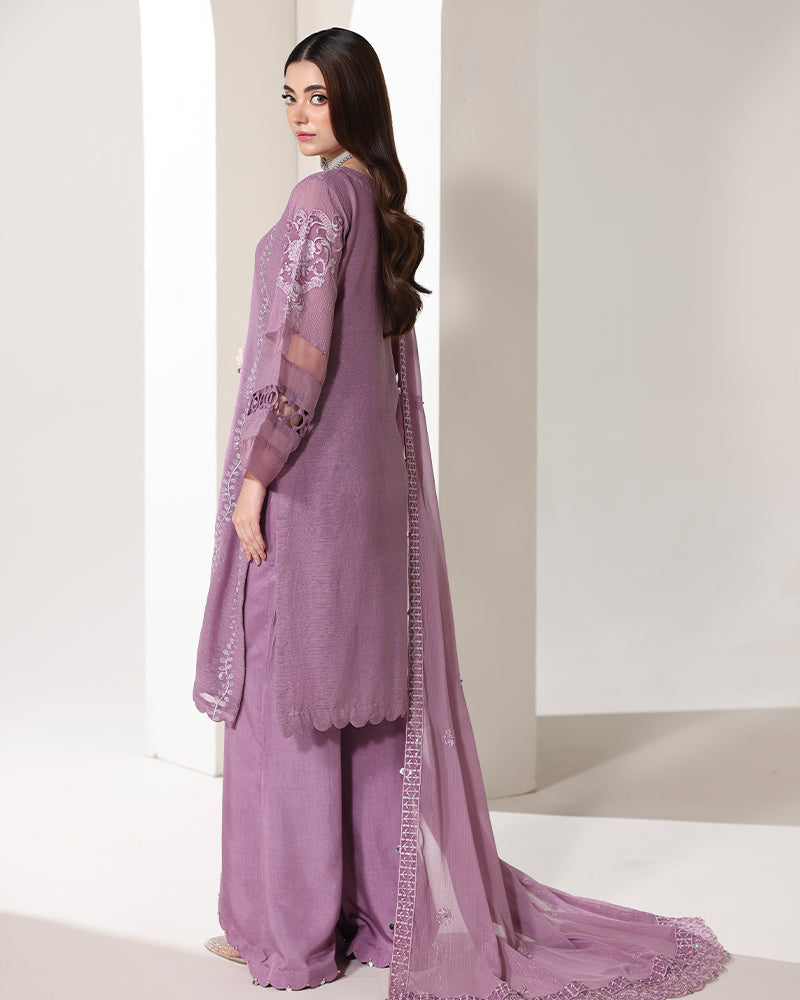 Ain | Noore Festive Formals 25 | AN-153 - by Libasekhas UK - Registered Vendor of : Ain - 100% Original Designer Dress