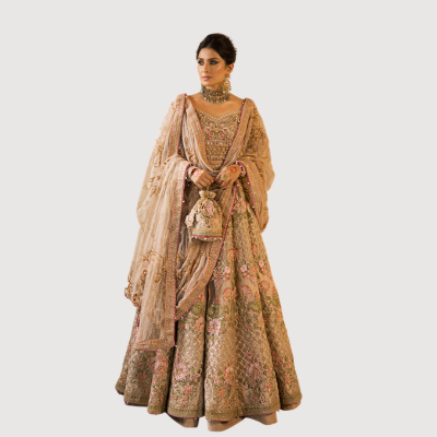 Walima Outfits