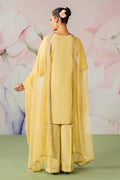 Naqshi | Festive Eid 26 | Pariya - by Libasekhas UK - Registered Vendor of : Naqshi - 100% Original Designer Dress