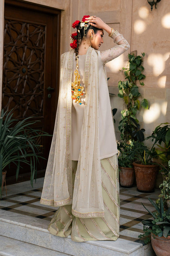 Naqshi | Tabeer Festive Dresses | Saaz - by Libasekhas - Registered Vendor of : Naqshi - 100% Original Designer Dress