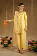 Naqshi | Festive Eid 26 | Aahal - by Libasekhas UK - Registered Vendor of : Naqshi - 100% Original Designer Dress
