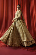 Naqshi | Roshaneh Collection | Karishma - by Libasekhas UK - Registered Vendor of : Naqshi - 100% Original Designer Dress