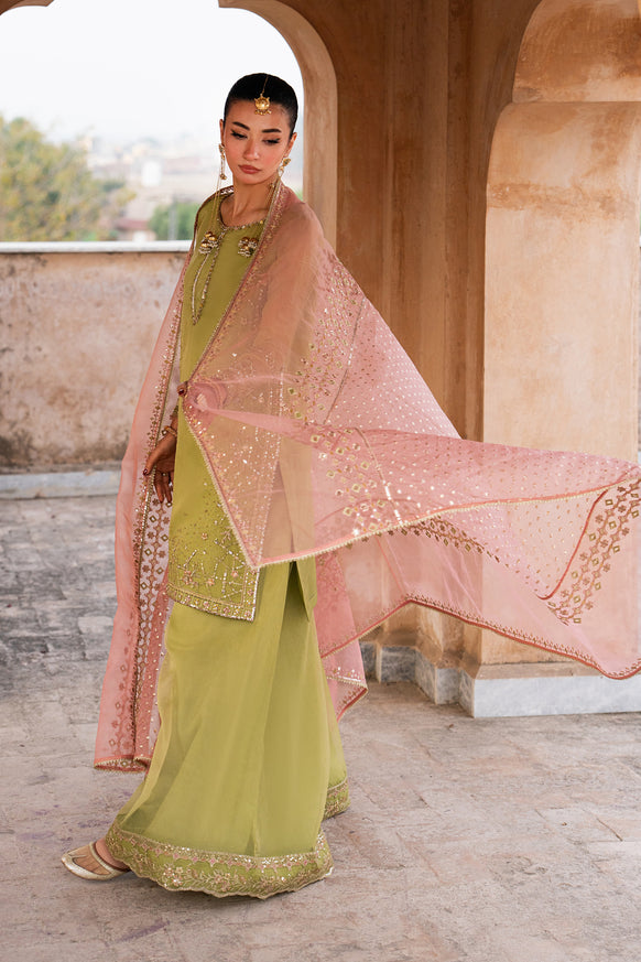 Naqshi | Tabeer Festive Dresses | Zaraan - by Libasekhas - Registered Vendor of : Naqshi - 100% Original Designer Dress
